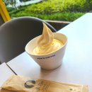 [탄방 카페] 빽다방 대전탄방역점에서 소프트아이스크림 사먹은 내돈내산 후기