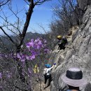 [제140차] 2026/04/18 - 조령산 이미지