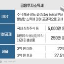 최근 논란중인 금투세 상황 이미지