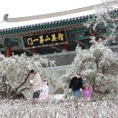 함양얼음 이미지