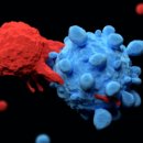 (주)메디헬프라인 이미지