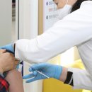 인제12-3 이미지