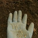 홍천로_3 이미지