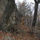 산속농원 이미지