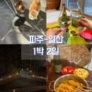 파주로1박2일 | [파주-일산] 1박 2일 국내 온천여행_ 서울 근교 커플 온천여행 추천코스(파주중휴림, 일산밤리단길)