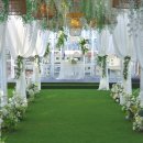 플레르바인 이미지