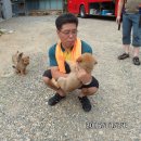 가은농장 Daum카페