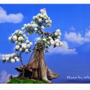 털보당구장 이미지