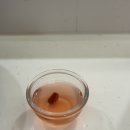 무모한초밥의왕역점 | 가성비 오마카세 끝판왕 / 오사이초밥 강남역점 디너 솔직후기