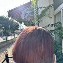 마리헤어 | 청주 용암동 미용실에서 오렌지 탈색 성공! 퍼스널 컬러까지 맞춰준 마리헤어 후기