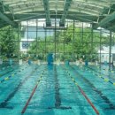 하루와이틀 이미지