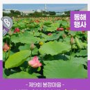 봉정농촌체험휴양마을 이미지