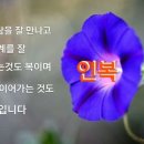 덕향 이미지
