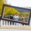 (주)은행나무 이미지