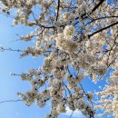 고성산(요전산성)탐방 이미지