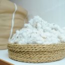 칠성면업사 이미지