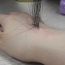 김호증모쟈끄미용실