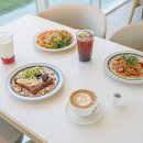 펫브런치 이미지