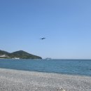 바람의 언덕 이미지