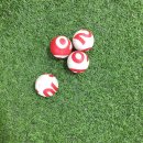 서구실내게이트볼장 이미지