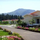 이디살래 이미지