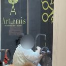 키스더도그/아르테미스 이미지