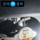 구미라지에타 이미지