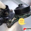 피크온모터스