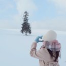 클릭 클래식여행 | 비에이 버스투어 가격 후기 크리스마스트리 탁신관 일본 삿포로 여행코스 추천