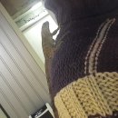 버르장머리샵