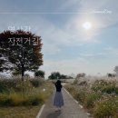 종부둔치화장실(백일홍화장실) | 광주서창억새축제가 있었던 그곳 억새와 코스모스가 만개한 &#39;영산강 자전거길&#39; 산책 후기 - 주차장, 화장실