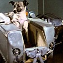 탐정과사람 행정사사무소 이미지