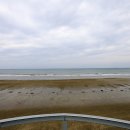 춘장대오토캠핑장 이미지