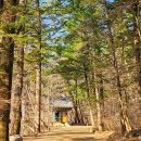 월정사 화장실 이미지