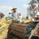 김동진농장 이미지