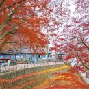 부소산성 고란사 화장실 이미지