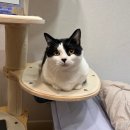 WR(대구광역시 중구)-11[달구벌대로]-상-26 | 한여름 대프리카 여행 ◎⚪︎｡.(∵ )Э )3