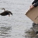 서울시 야생동물 구조관리센터 이미지