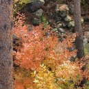 두 Y자(평일) 이미지