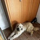 개신남3호점 이미지