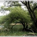 로하스웰빙 이미지