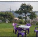 레디젯코리아 이미지