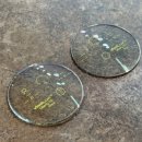 라운드투안경 울산태화점 이미지