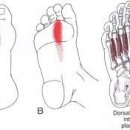 하늘벗한의원 이미지