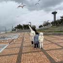 기러기다방 이미지
