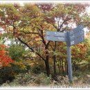 미디어 콘텐츠 활용 이미지