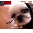 프름팬션 | [ 오토캠핑] 집다리골자연휴양림 [090515-17]