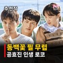 화신동백 | 동백꽃 필 무렵 결말 줄거리, 까불이 정체는? 공효진 강하늘 인생 드라마 정주행 추천