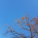 하촌할머니 이미지