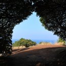 도두어부의밥상 이미지